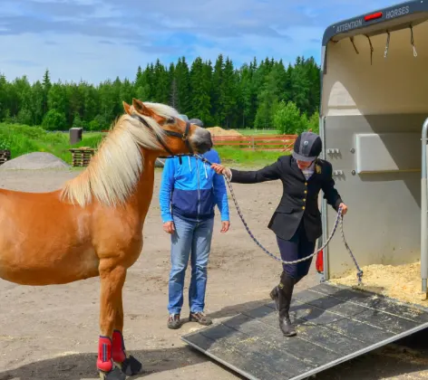 Traveling Trailer for Horse 